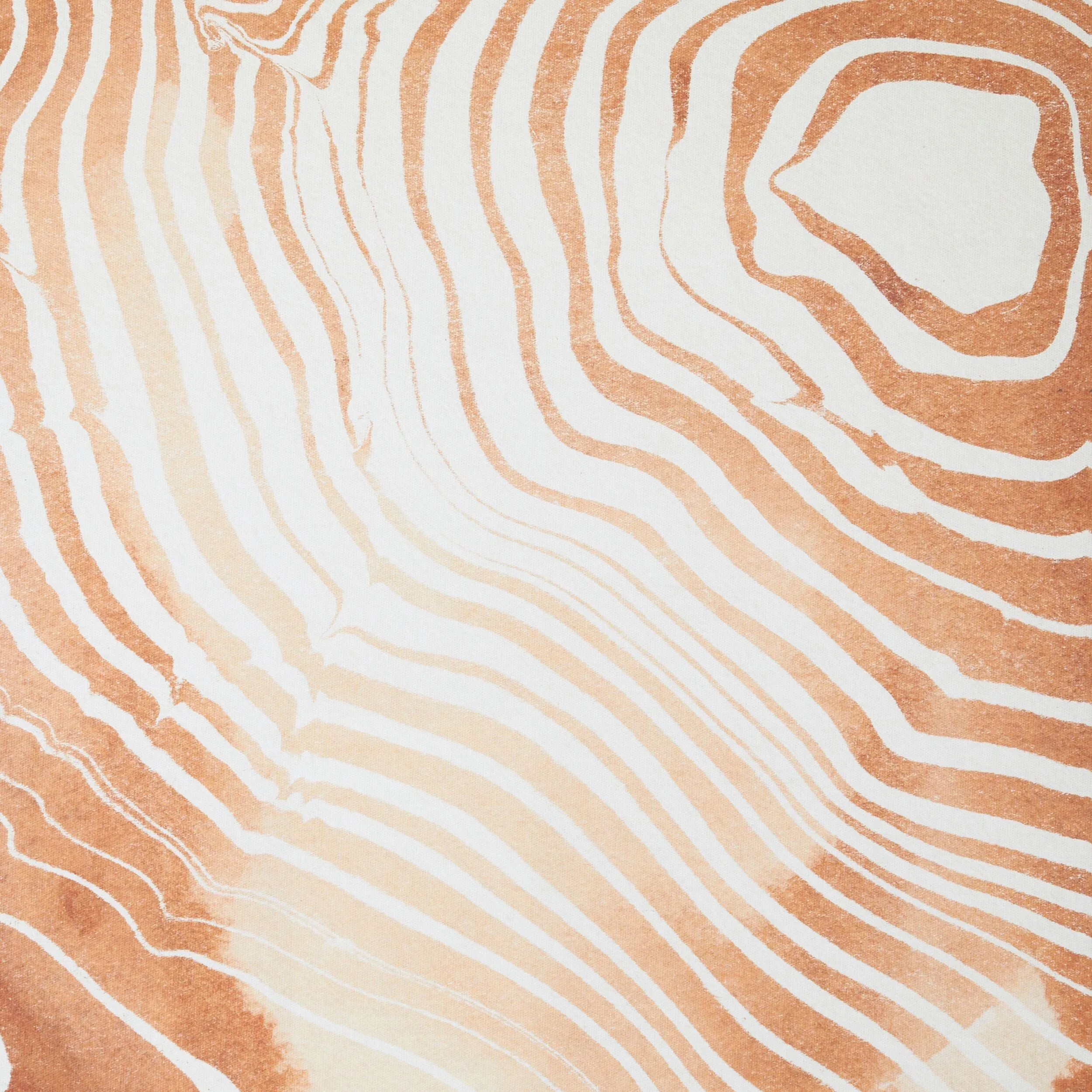 Cedar Rings I Framed Print 40x50cm