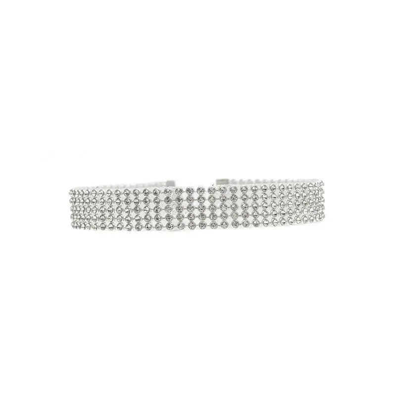 Elegant Rhinestone Choker Necklace