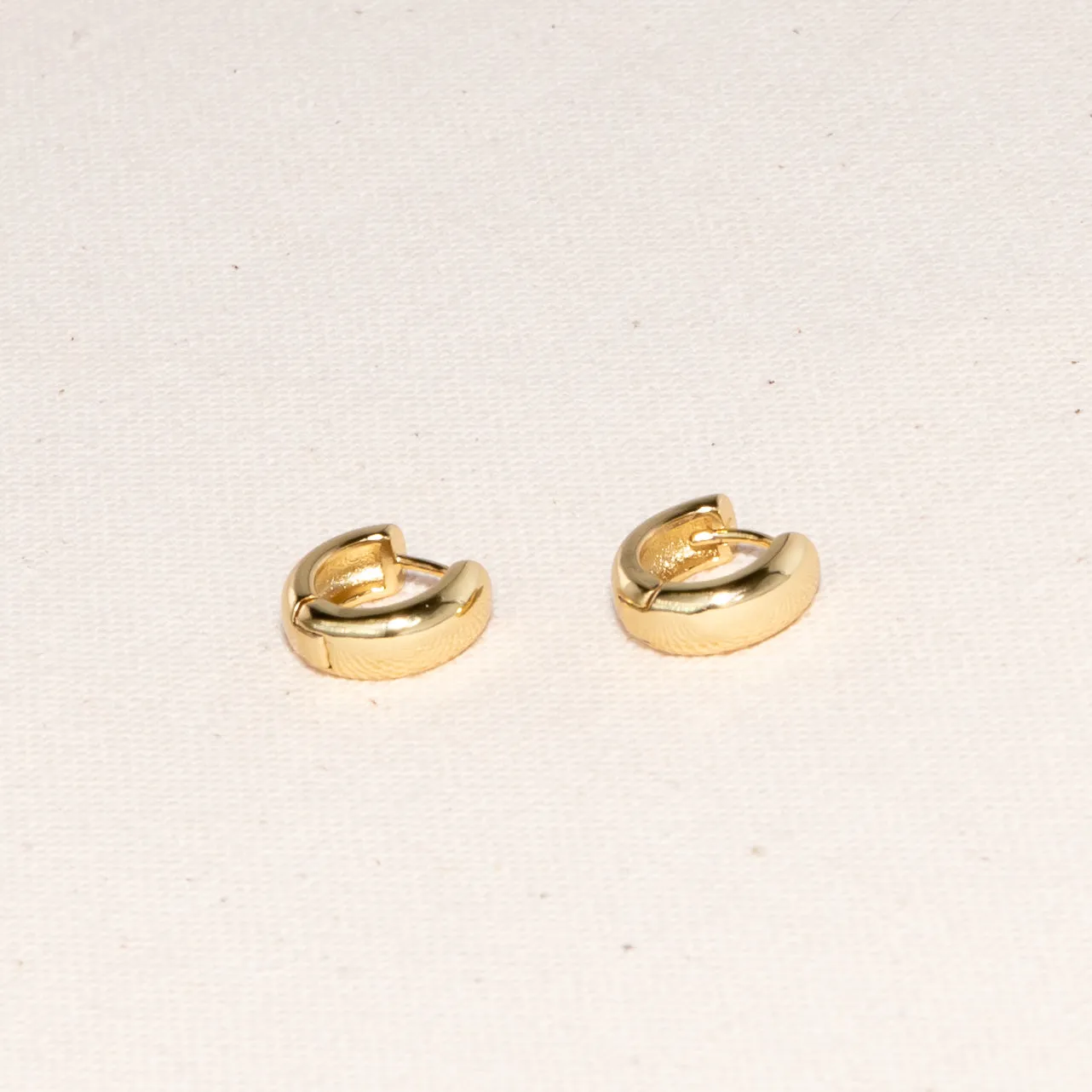 New Antoni Earrings Hoop