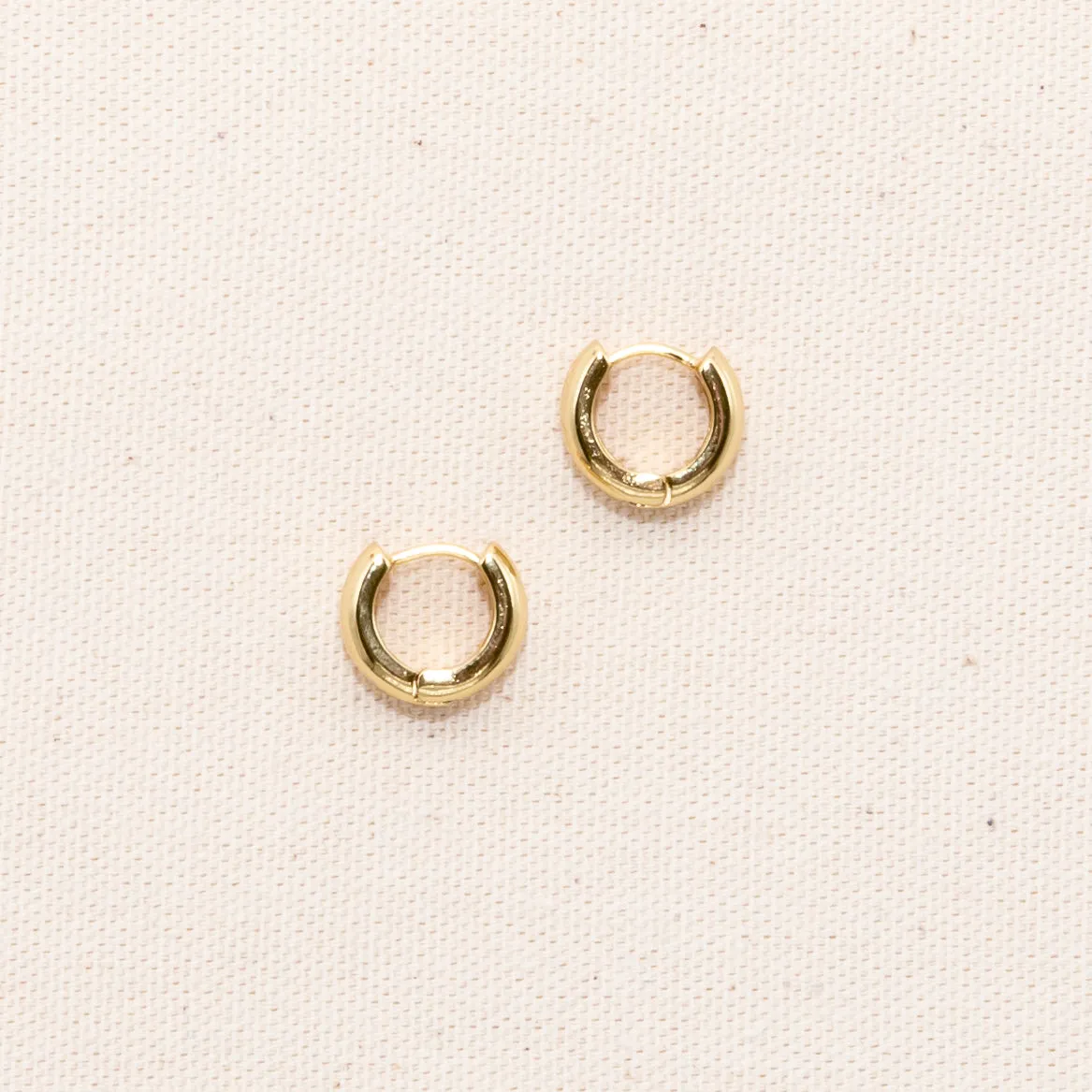 New Antoni Earrings Hoop