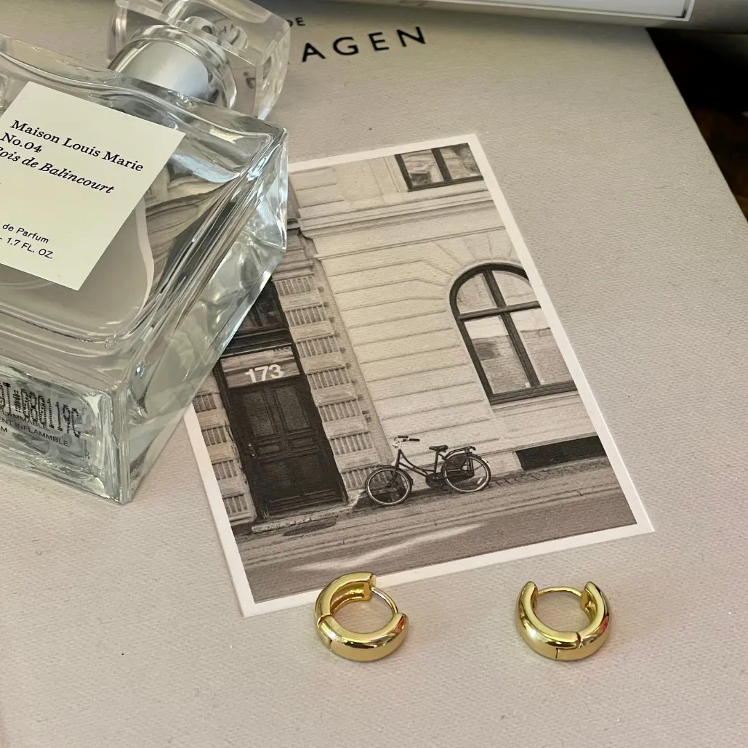 New Antoni Earrings Hoop
