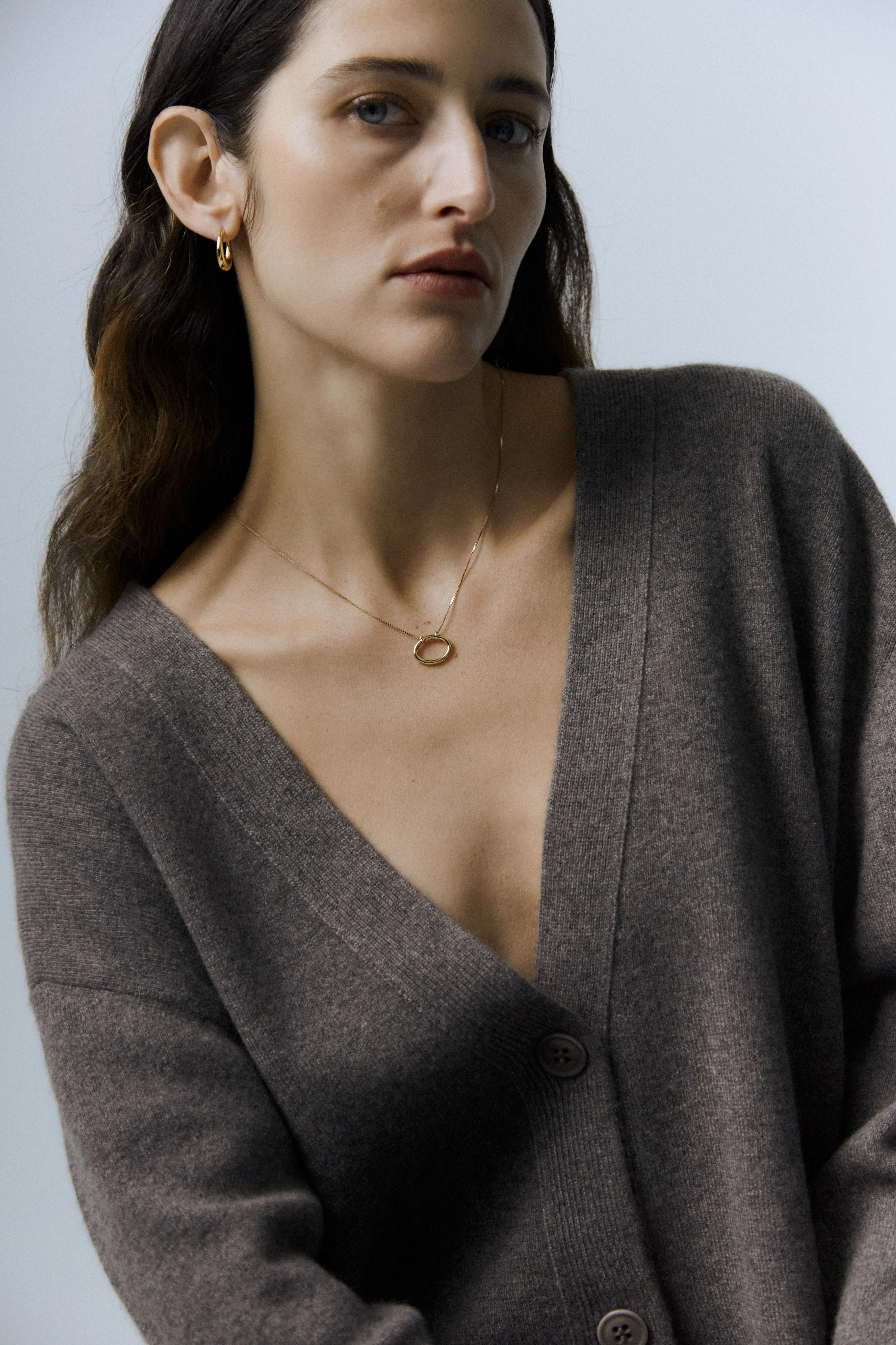 Oval Hoop Earrings